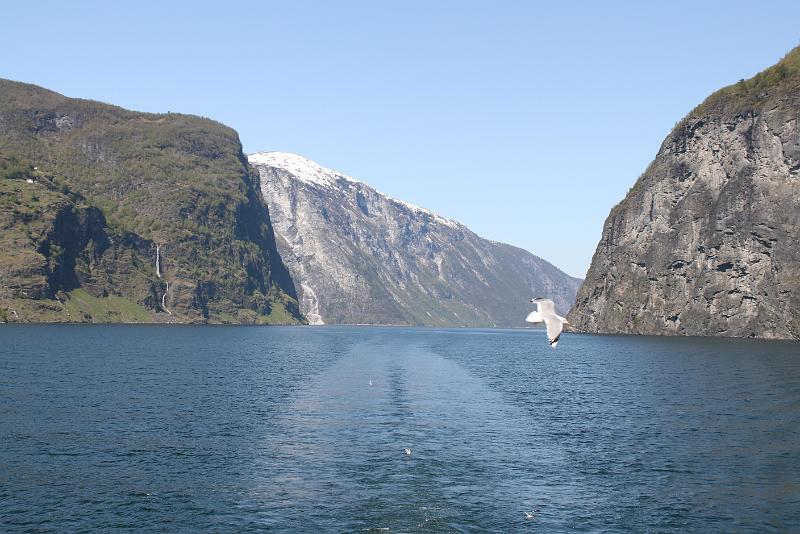 Fjords (70).jpg